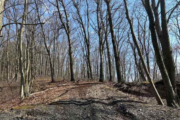 Darkwater Single Track 2