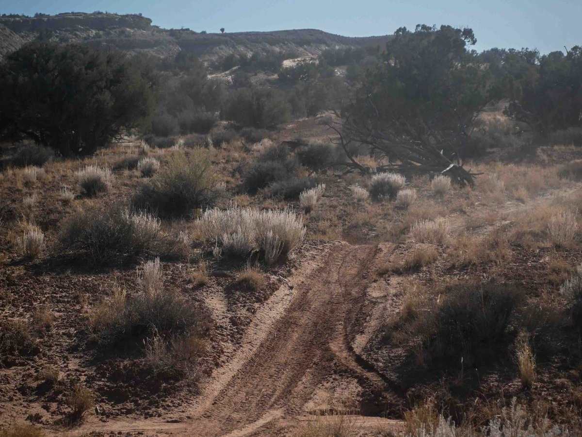 Lost Spring Wash photo 5