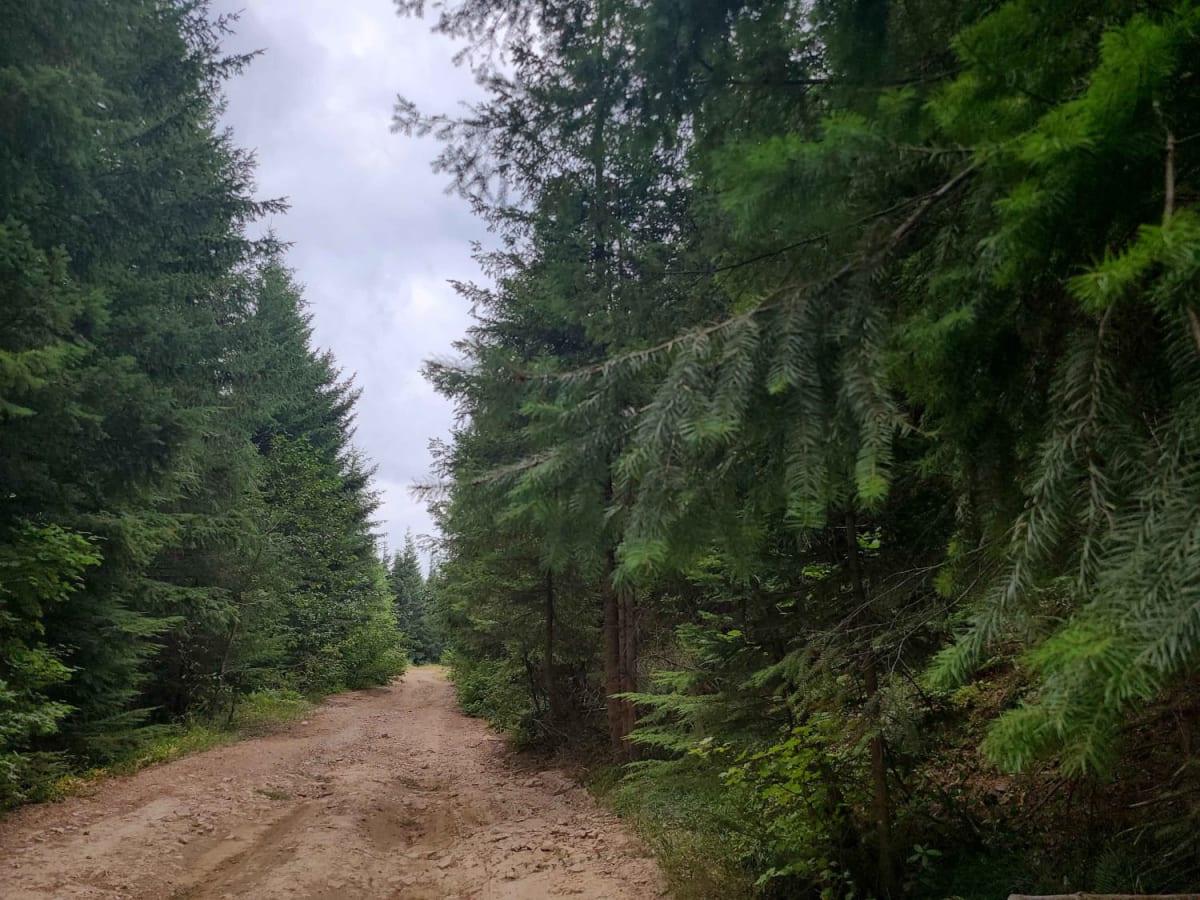 Creek Gravel Grumbler Road photo 2
