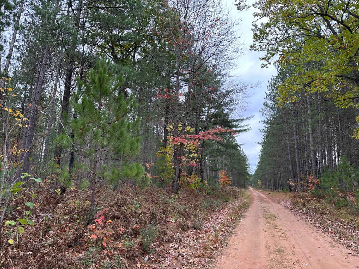 Hemmings Lake Road photo 3