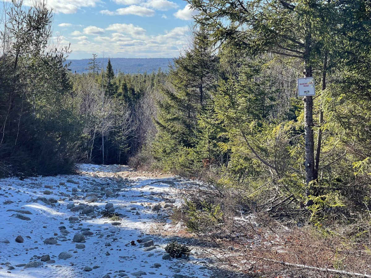 Quack Lake Road photo 4