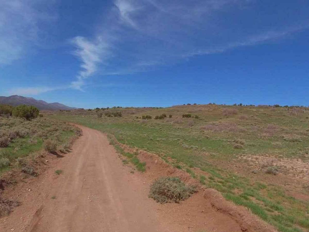 Watts Mountain Road- FS 40111 photo 6