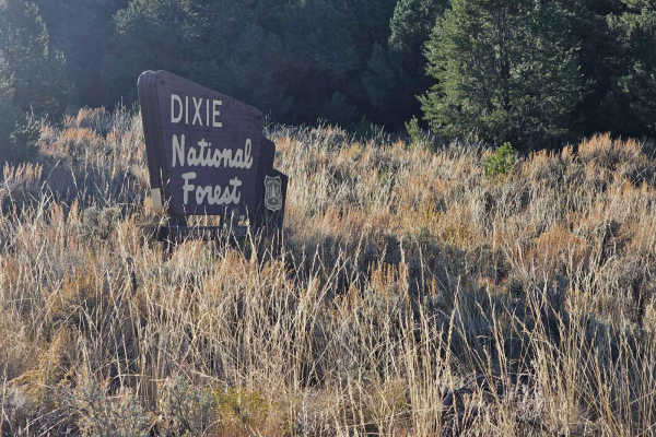 30129 Sanford-Smith Canyon-Fremont ATV