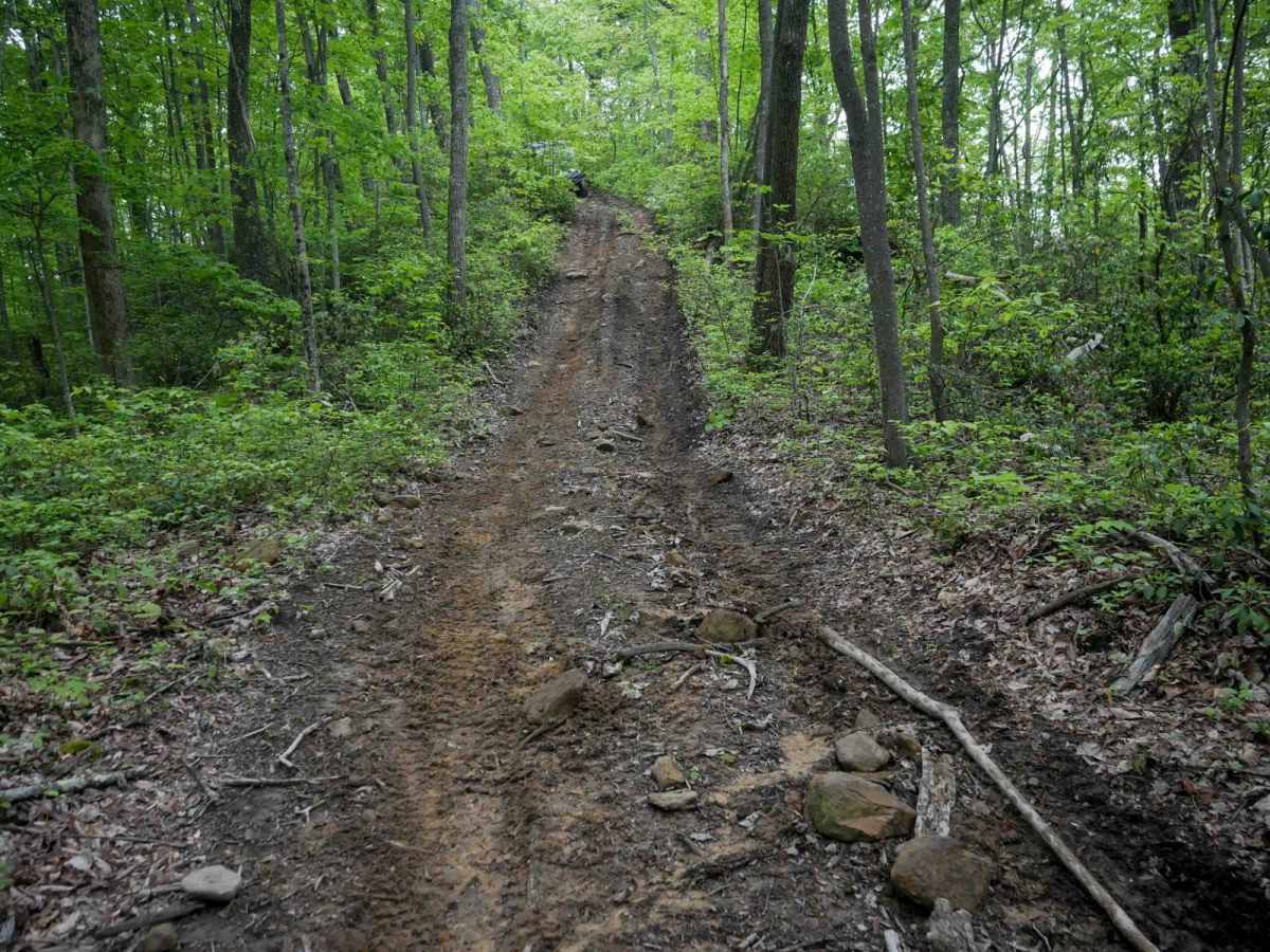 J81 trail photo