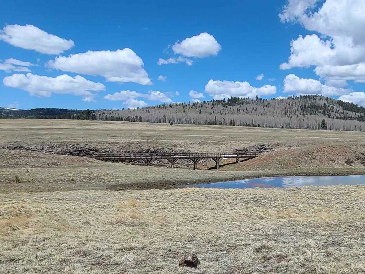 Forest Service Road 87 photo 4