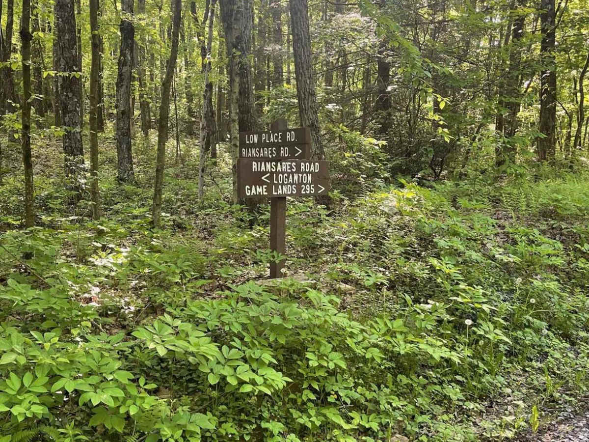 Cherry Run Road photo 4