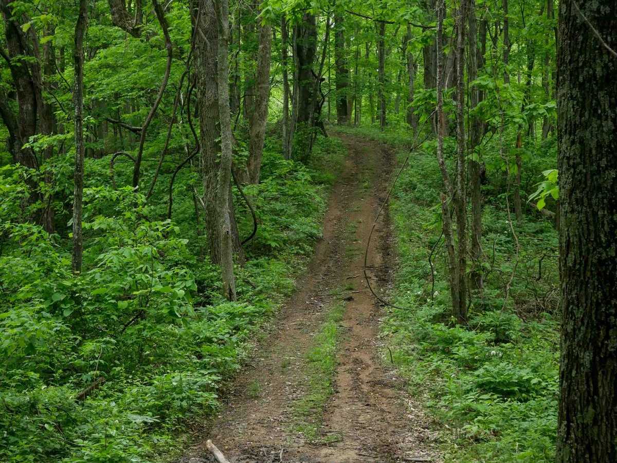 J33 trail photo