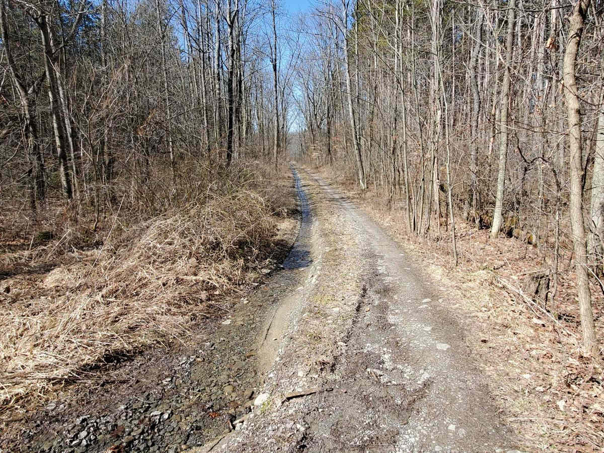 West Hill Trail trail photo
