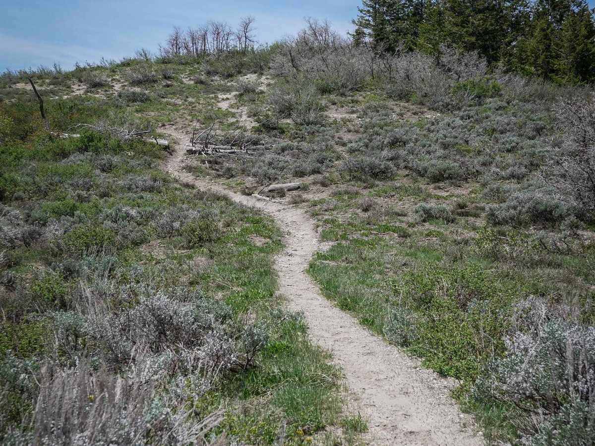 Sixth Water Divide #014 photo 3