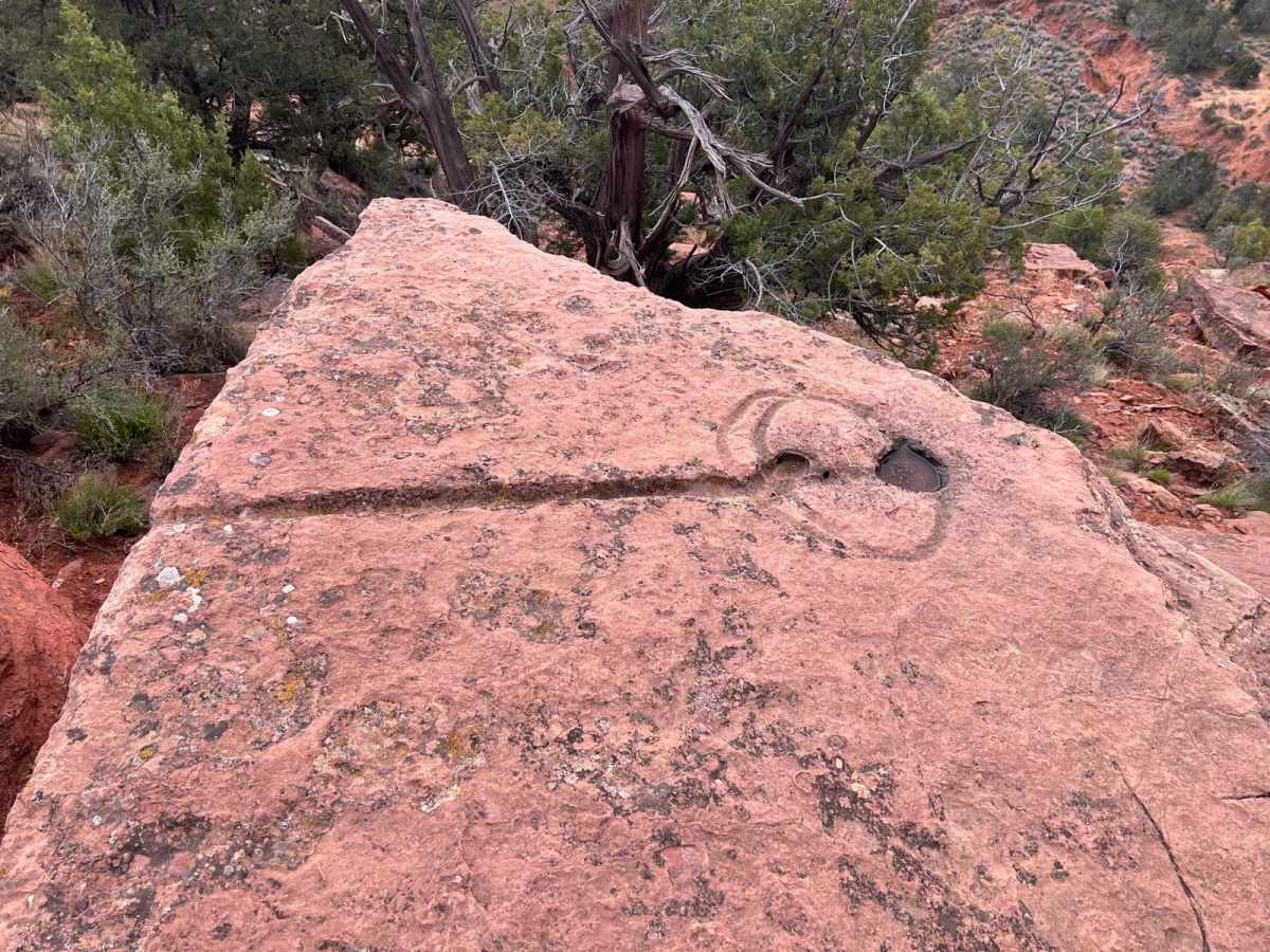 Waterglyph Lane (BLM 101) photo 2