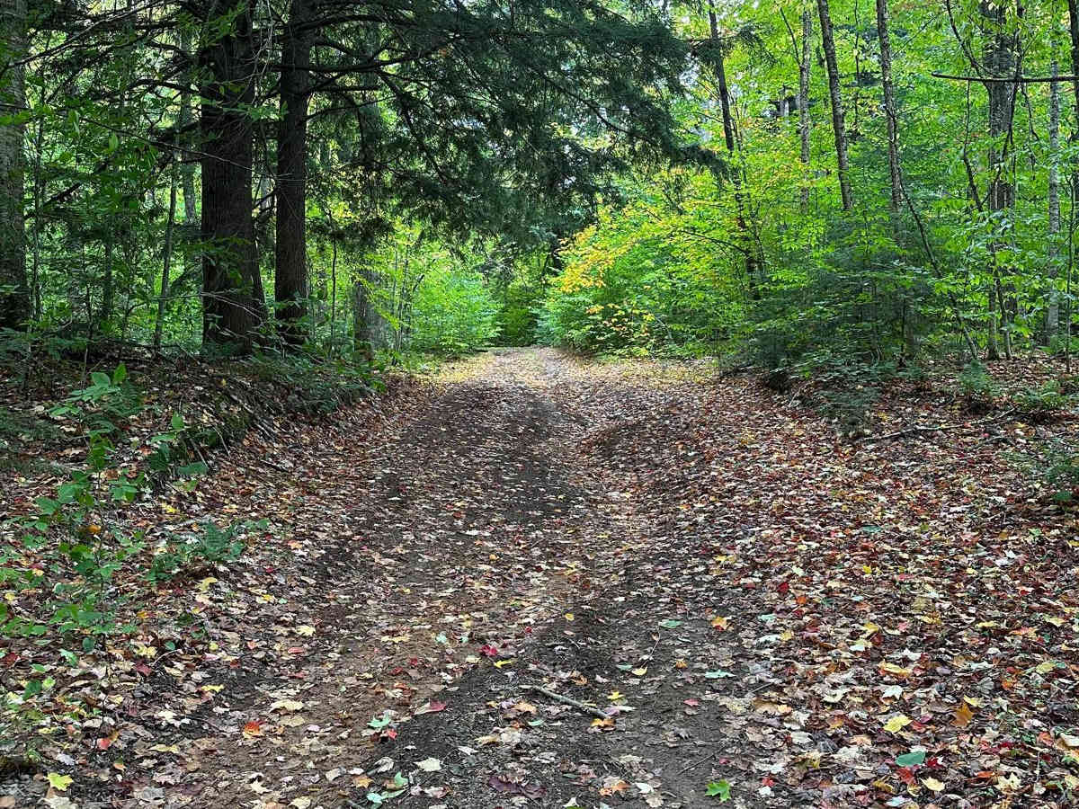 Line Lake East - FS 2572 photo 4