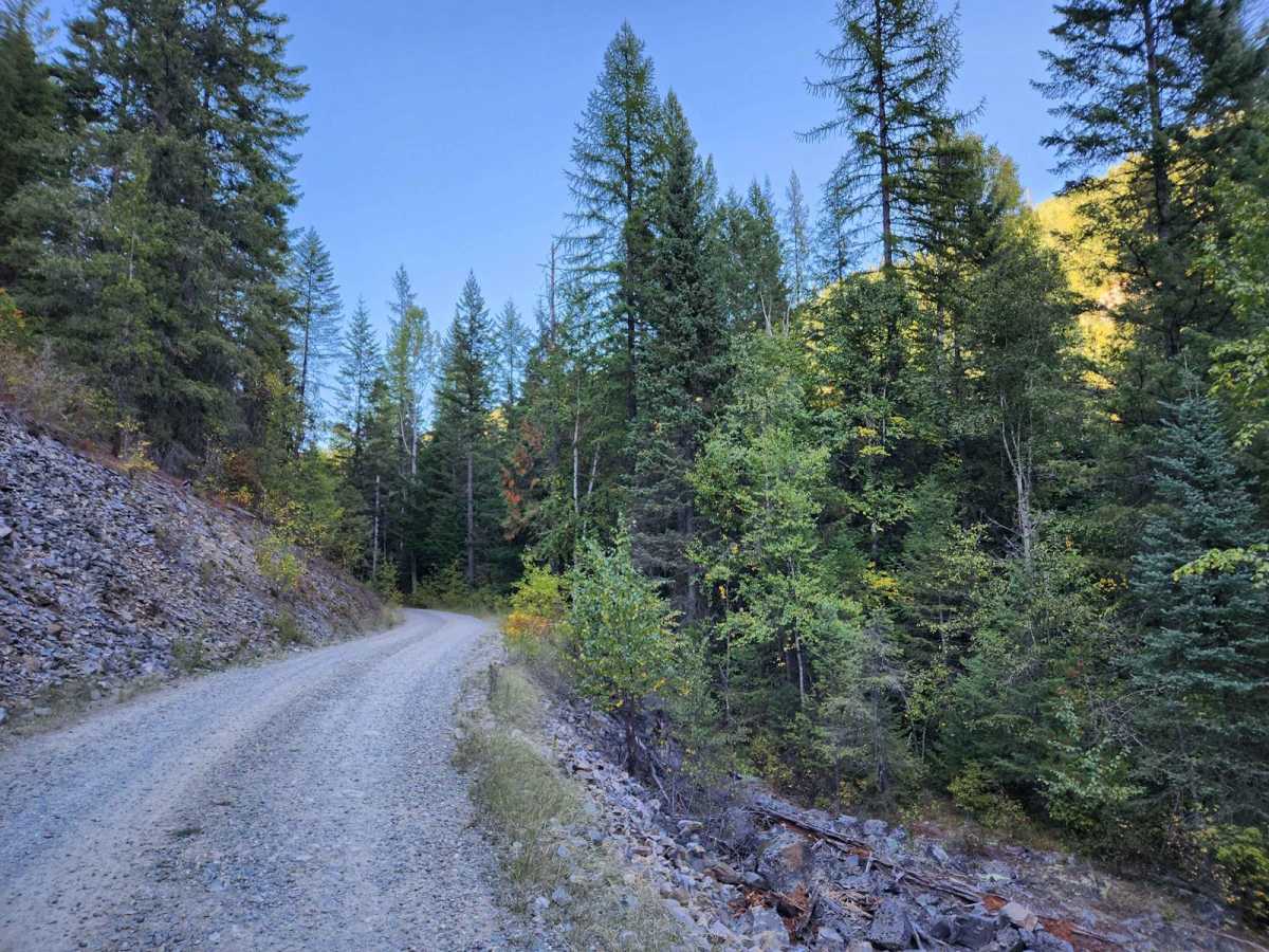 Solomon Lake photo 3