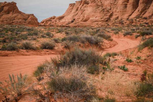 Page Trail