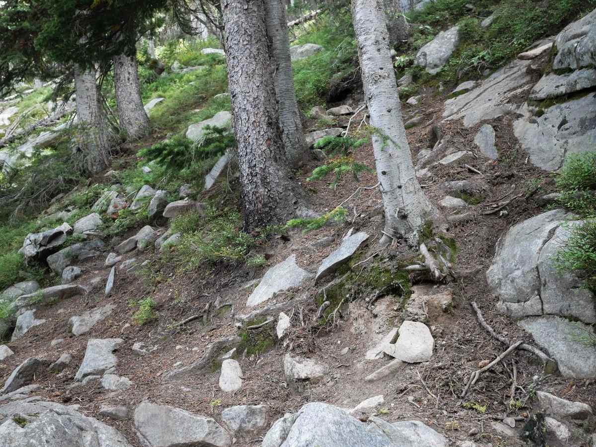 Hidden Lakes ATV #179 - Extreme Difficulty Section photo 2
