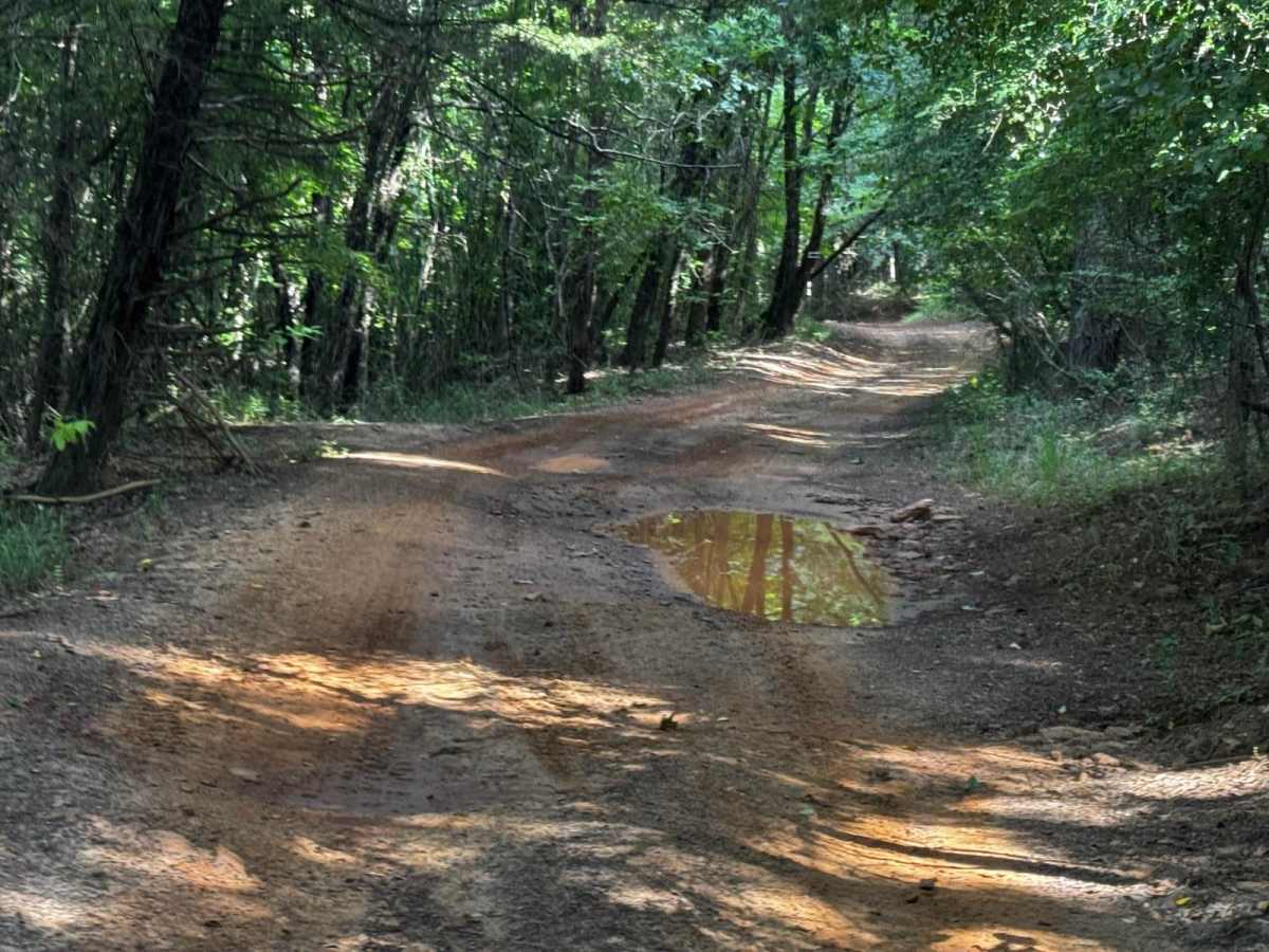 Clyde's Ravine photo 4