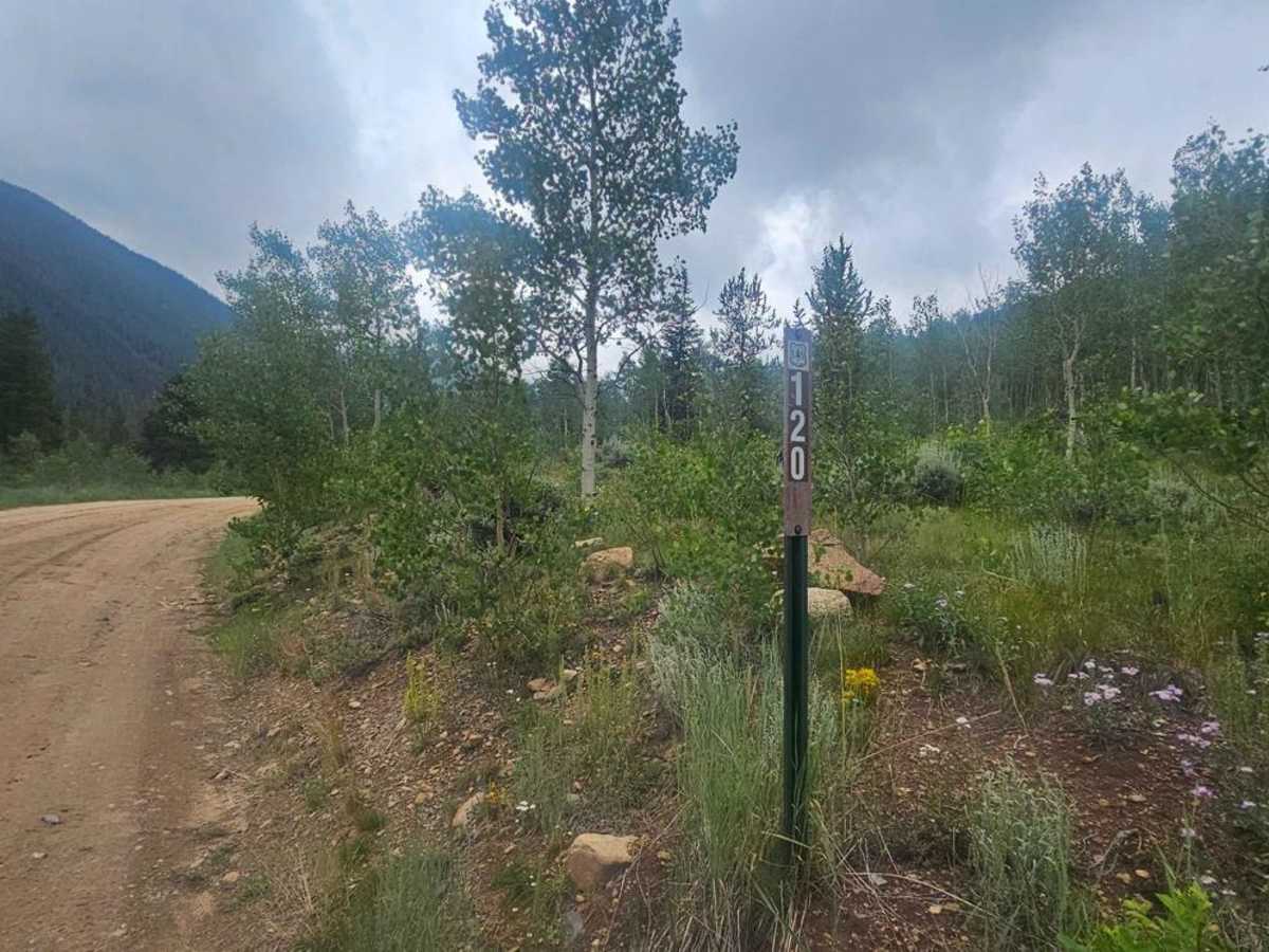 Hall Valley Road - Park County 60 photo 3
