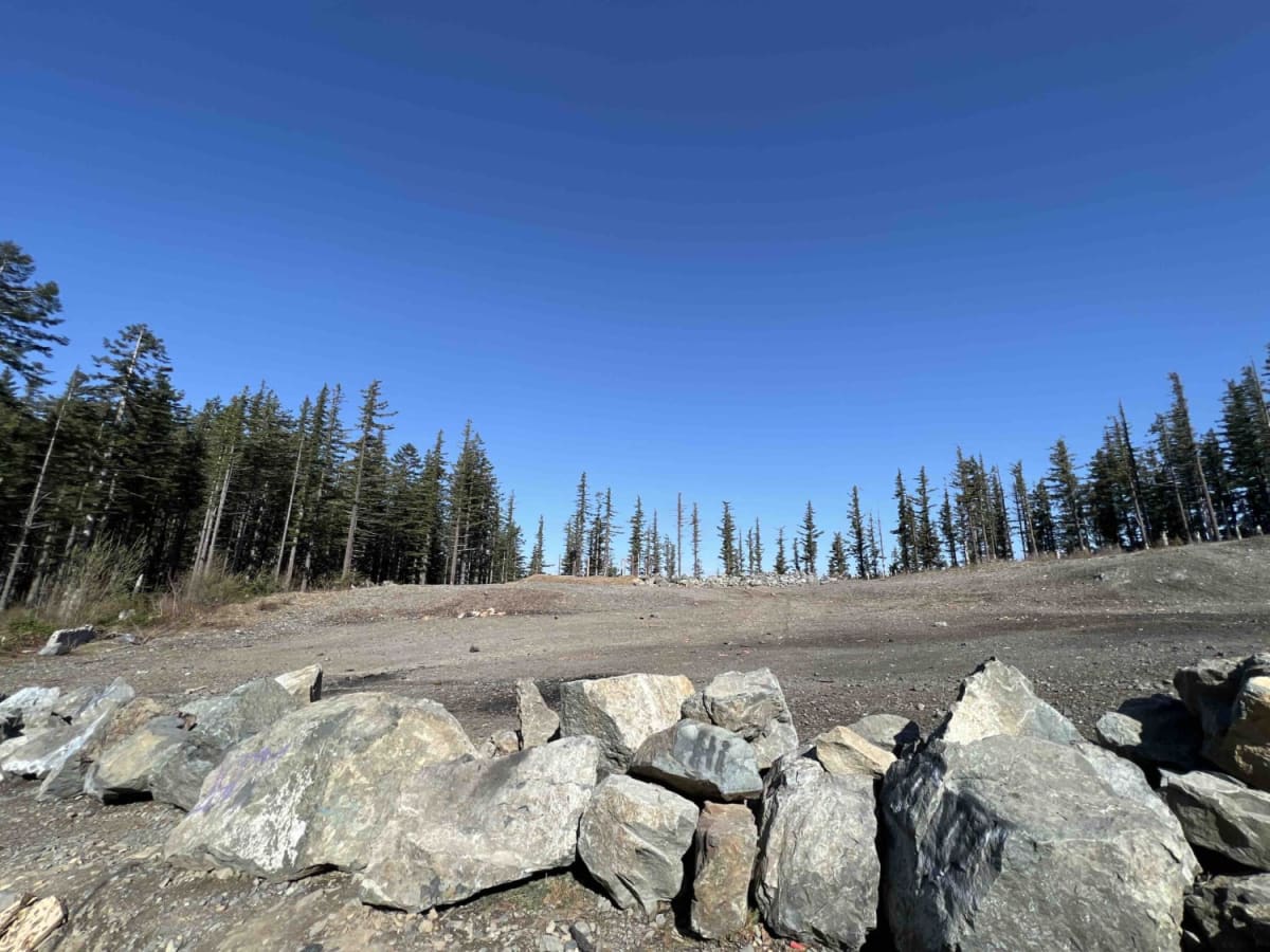 Larch Mountain L-1500 trail photo