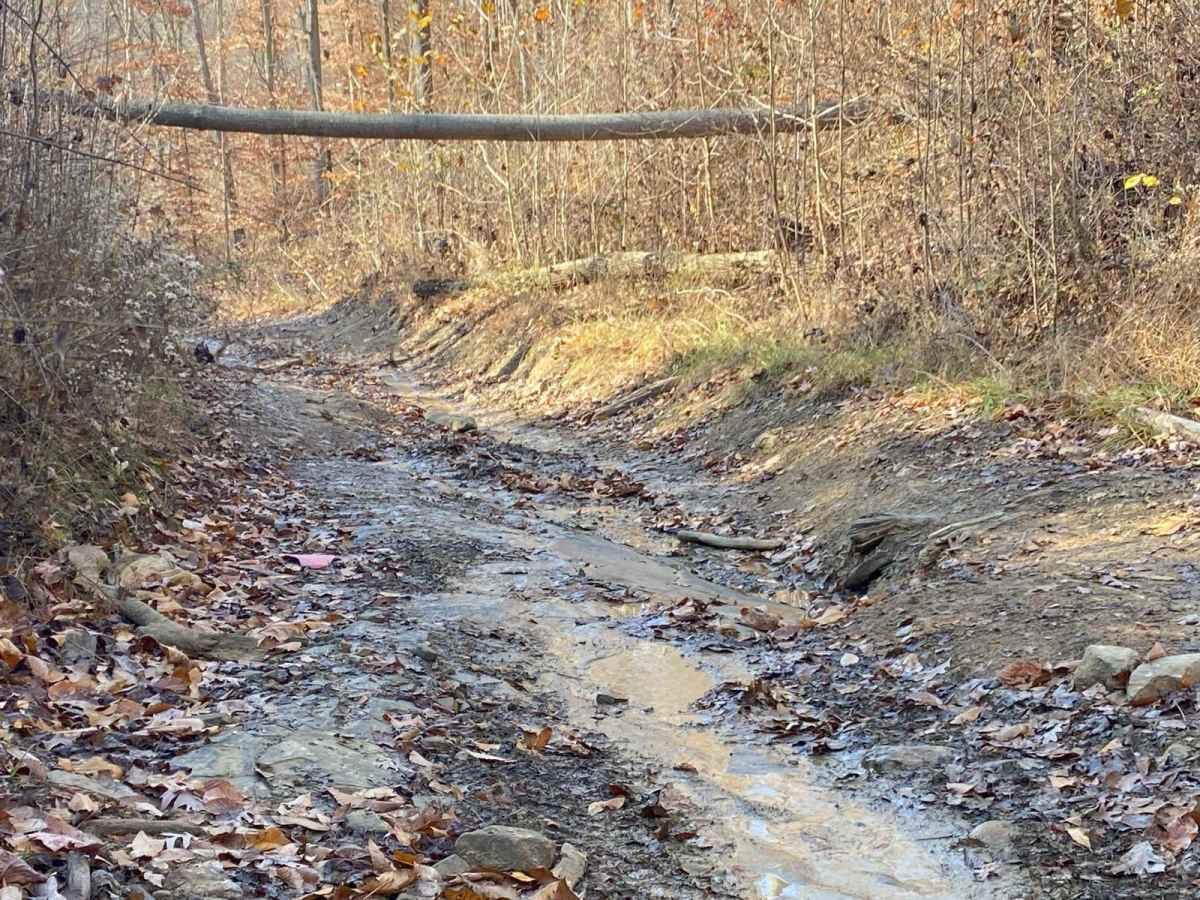 Blue Creek Road - Tar Hollow Trails photo 3