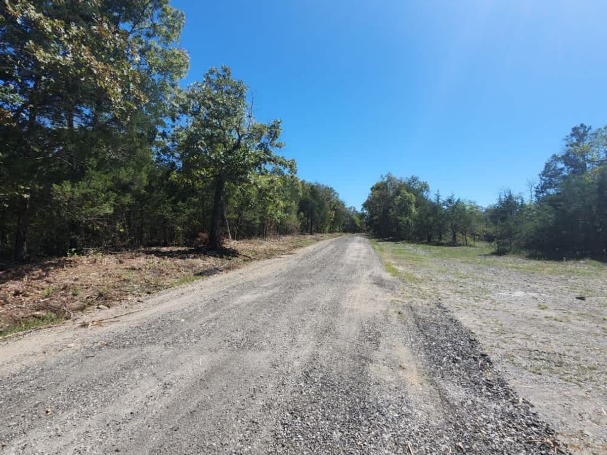 Cedar Forest Road photo 4