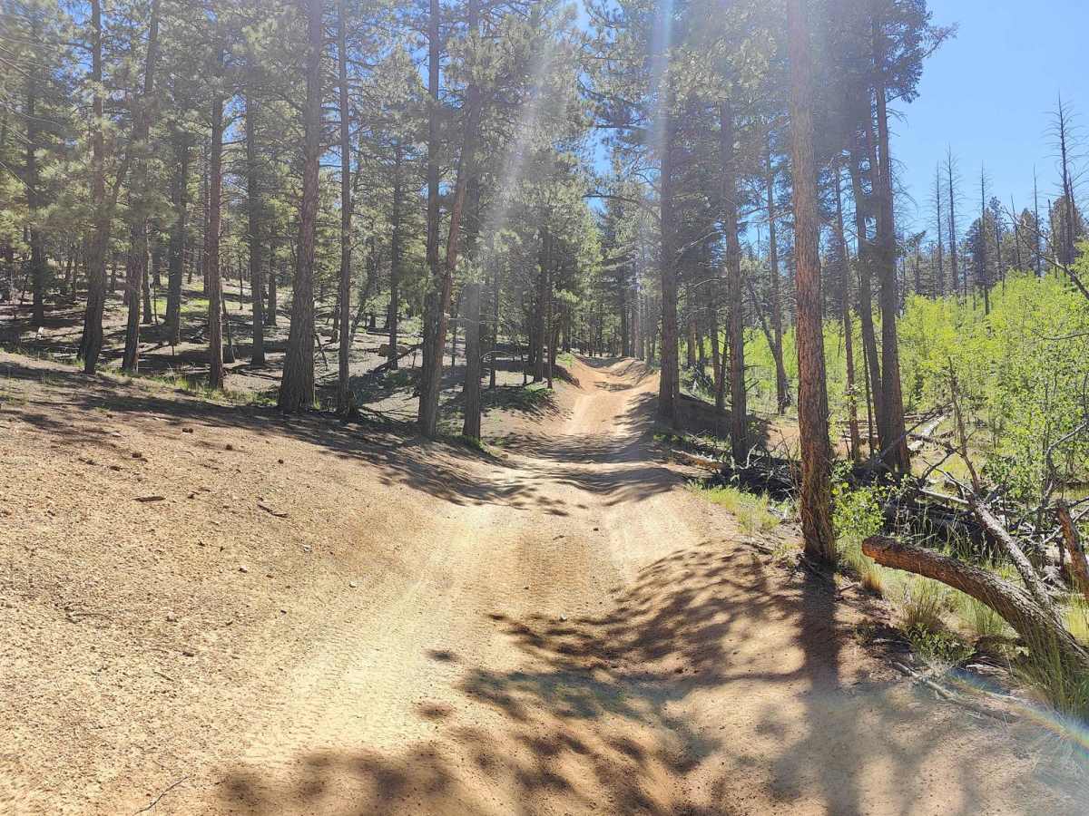 Hackett Gulch photo 4
