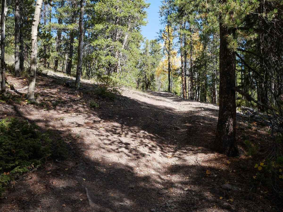 Right Hand ATV Trail photo 5