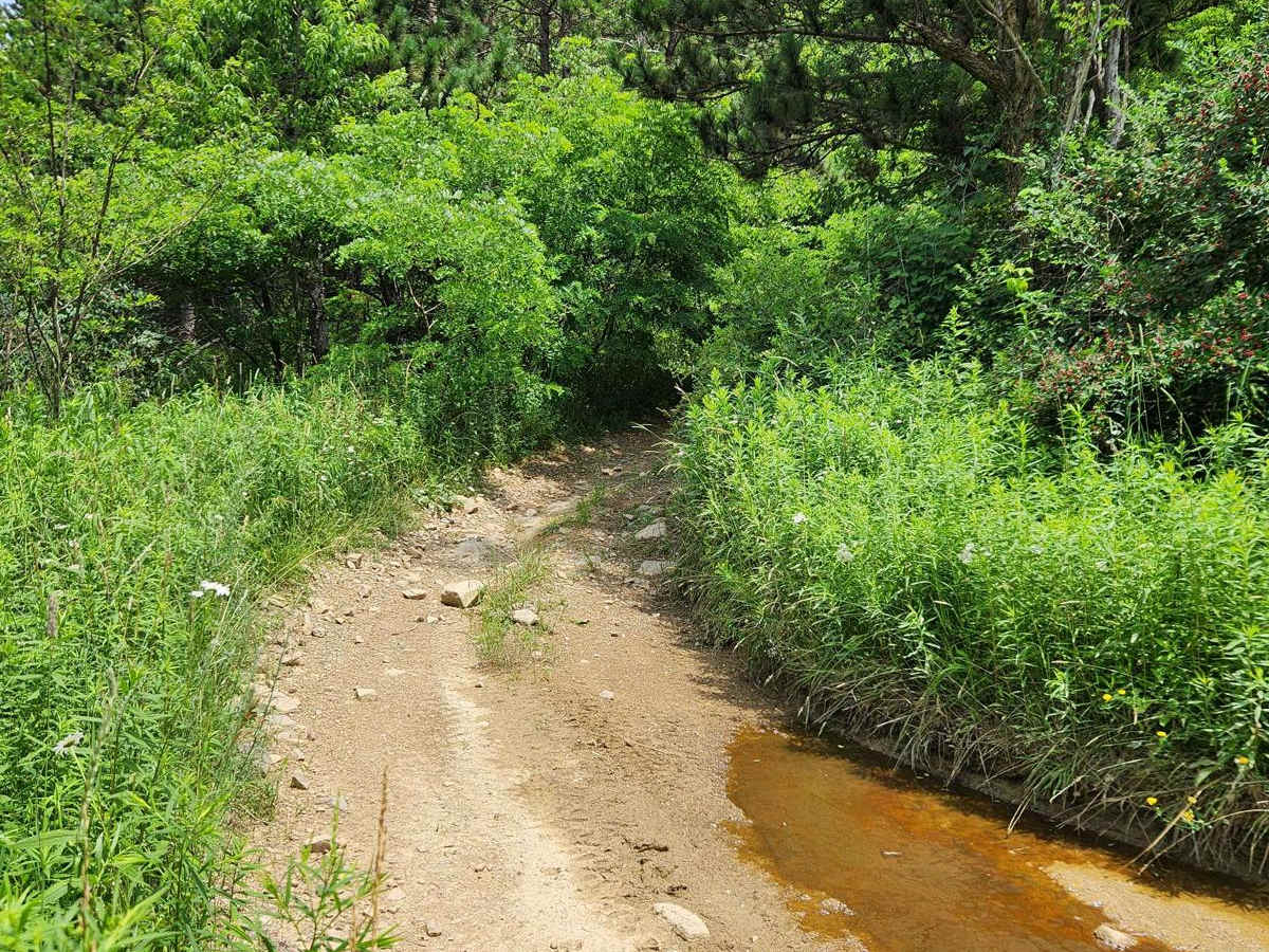Trail 5G - Rock Run Recreation Area photo 3