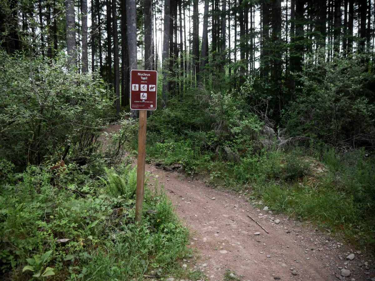 Nucleus trail photo