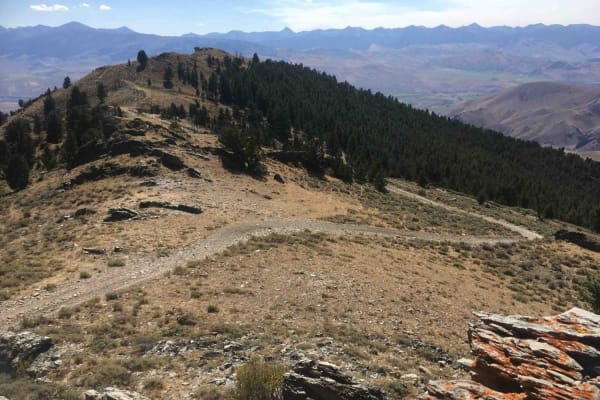 Reese Creek Trail