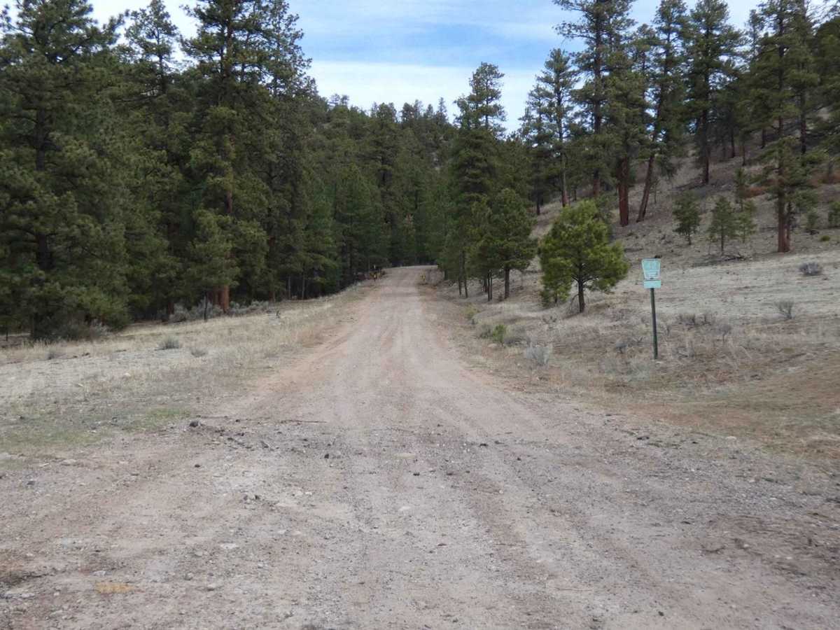 Vallecitos Pass photo 2