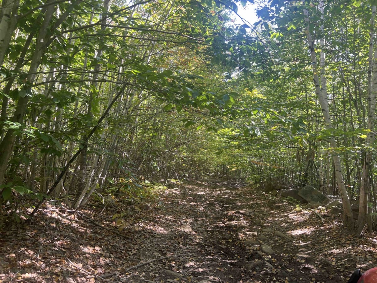 Zonner Road to Cliffy Jewel Pasture Road photo 5
