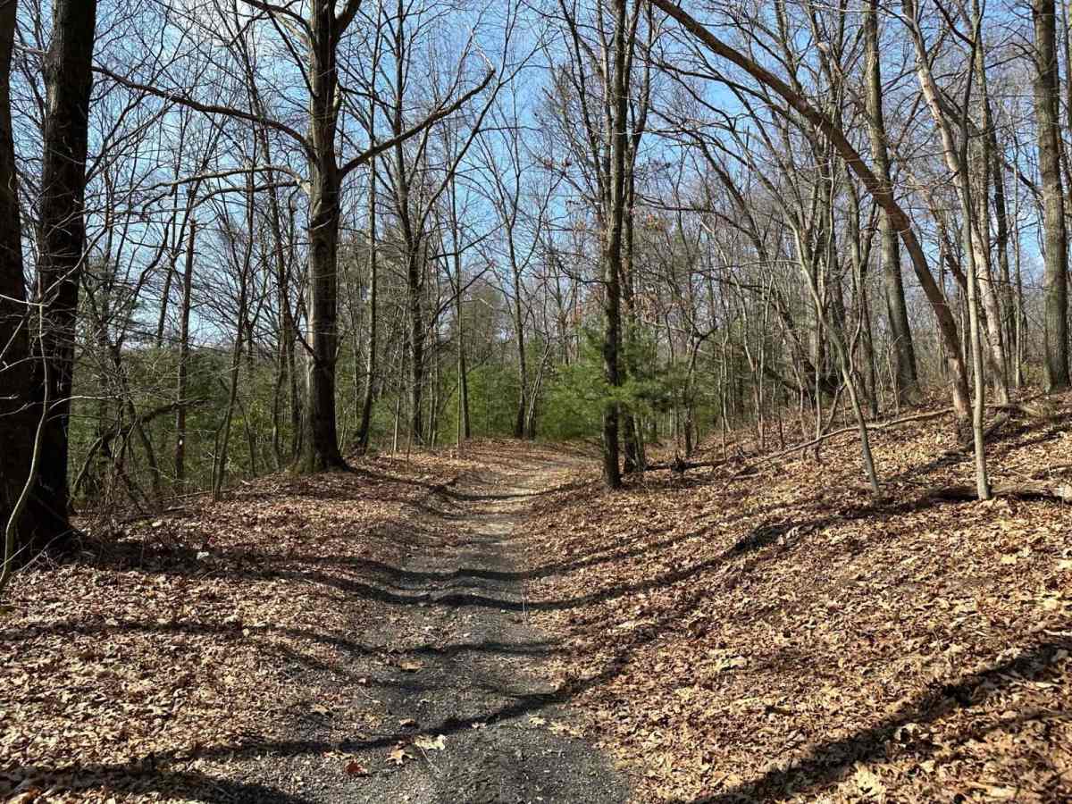 Ashland 103 photo 5