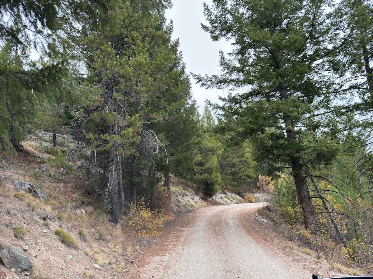 Mine Road photo 5