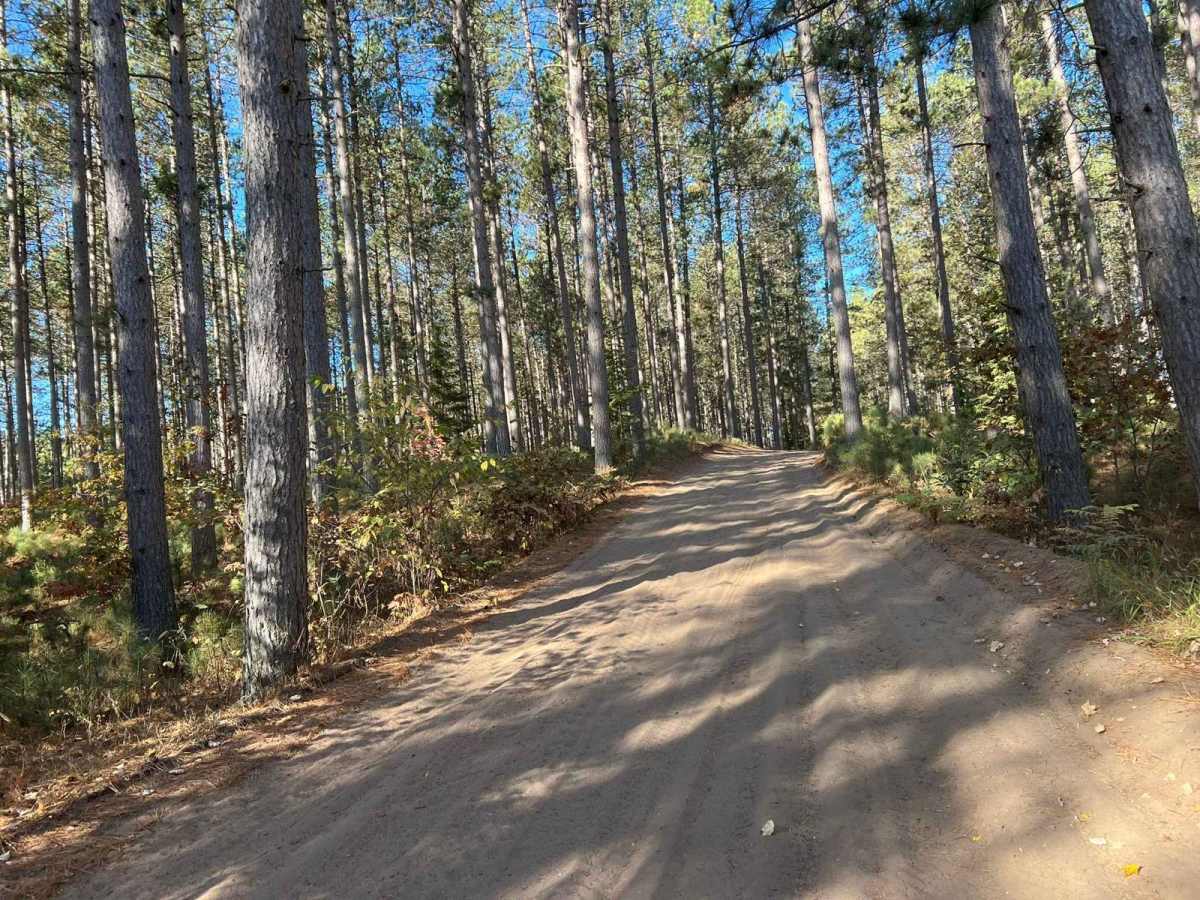 Trail 5- Forest Road 219 photo 4