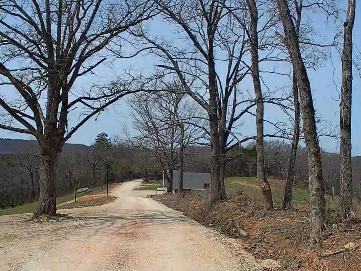 Erbie Campground Road photo 4