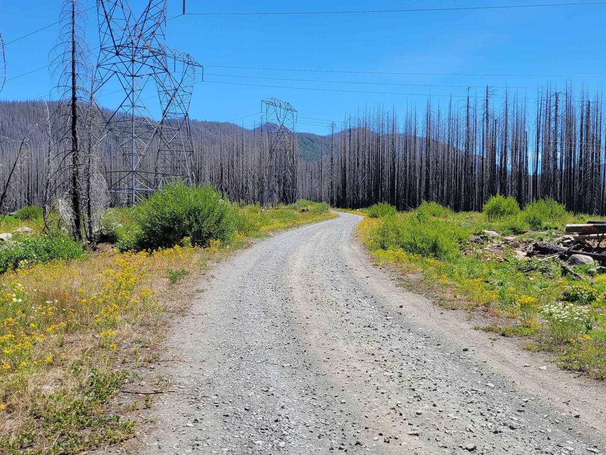 FR 4220 trail photo