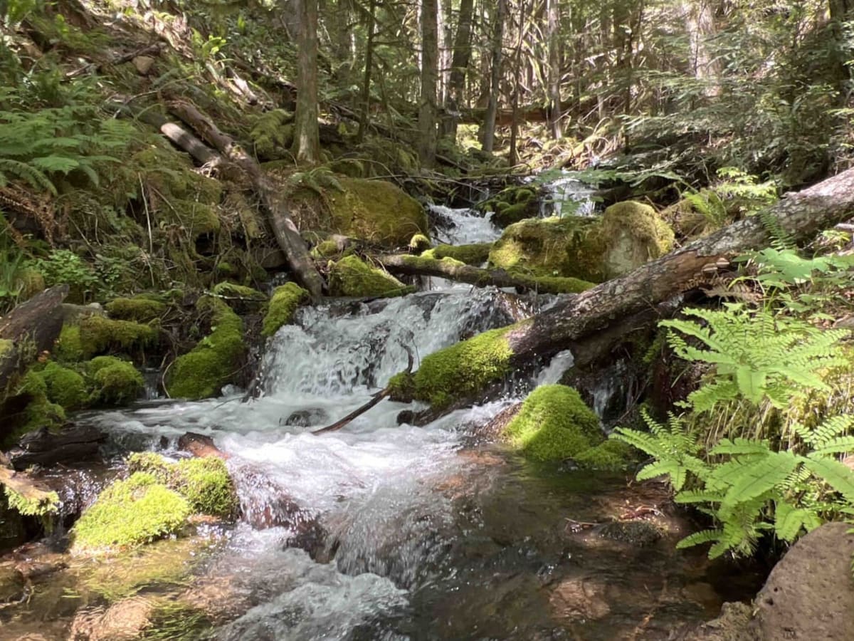 Harriet Lake 4630 photo 3
