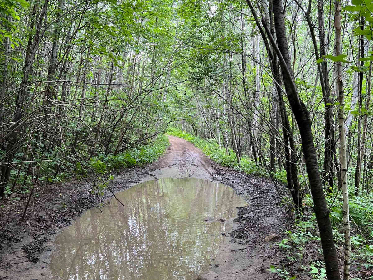 Round River Drive Western Loop Cut Through photo 4