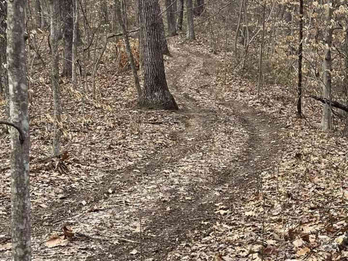 Trail 2 - High Ground photo 5