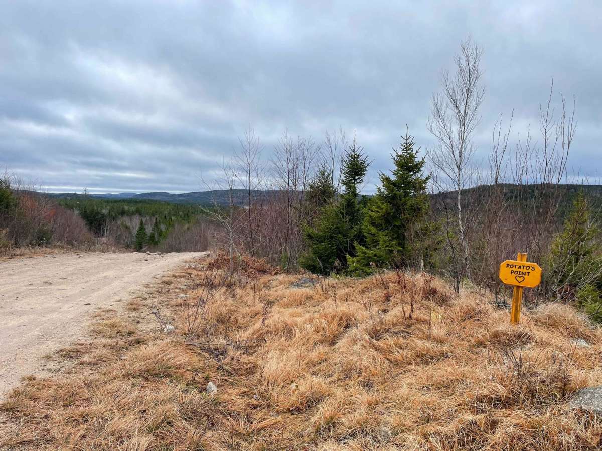 Pipeline Road Trail photo 5