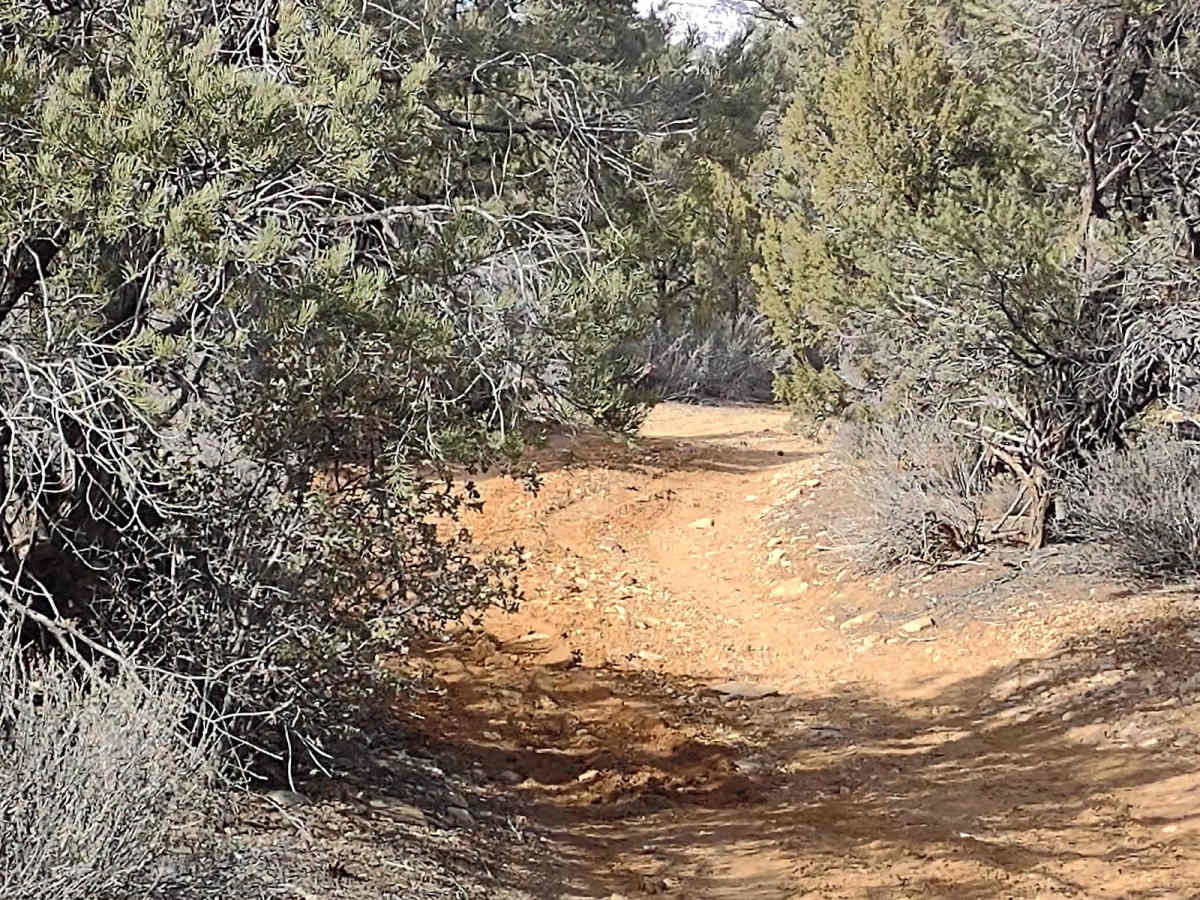 Leeds Cr-Cottonwood North Spur #30903 photo 3