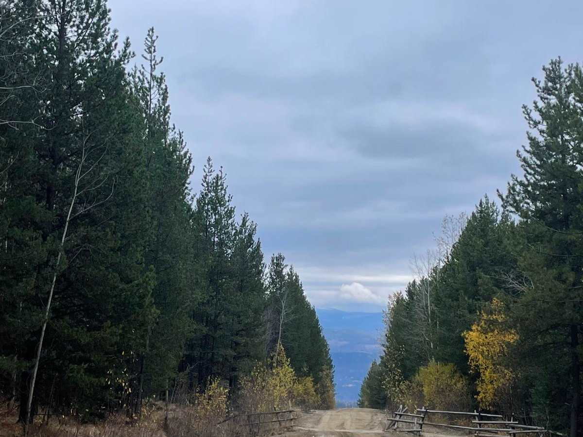 James Lake FSR photo 3