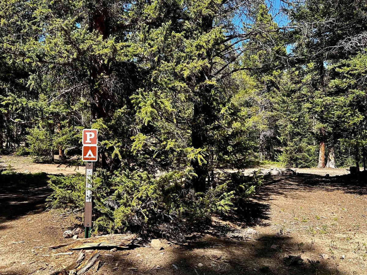 Lininger Ditch (FS 811A) photo 3