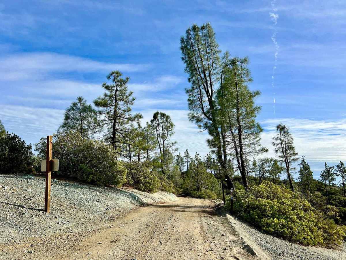 Aurora Cutoff R14 trail photo