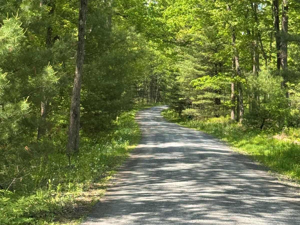 Dry Run Road photo 5