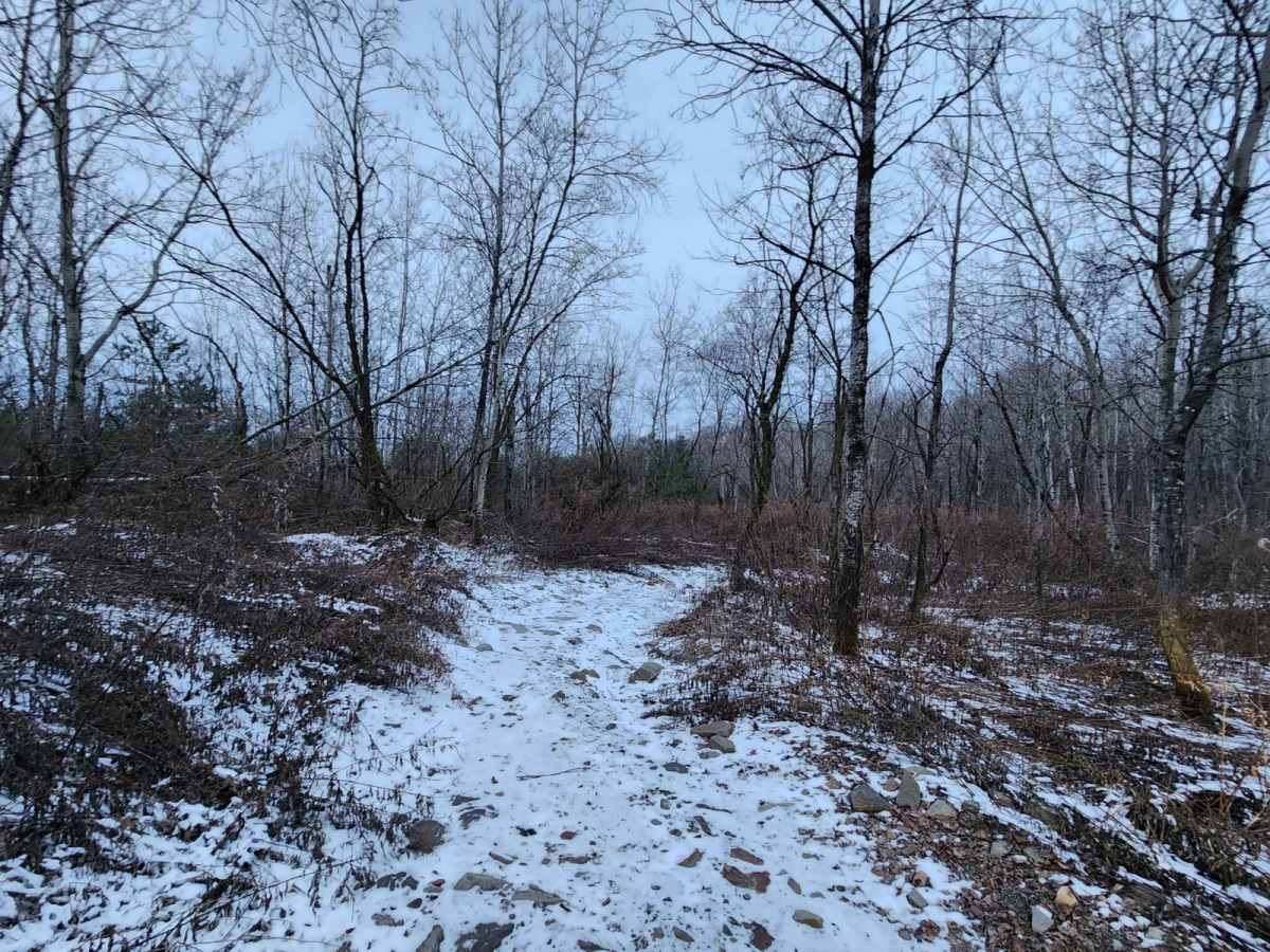 Flat Rock - Blue - Rock Run Recreation Area photo 6