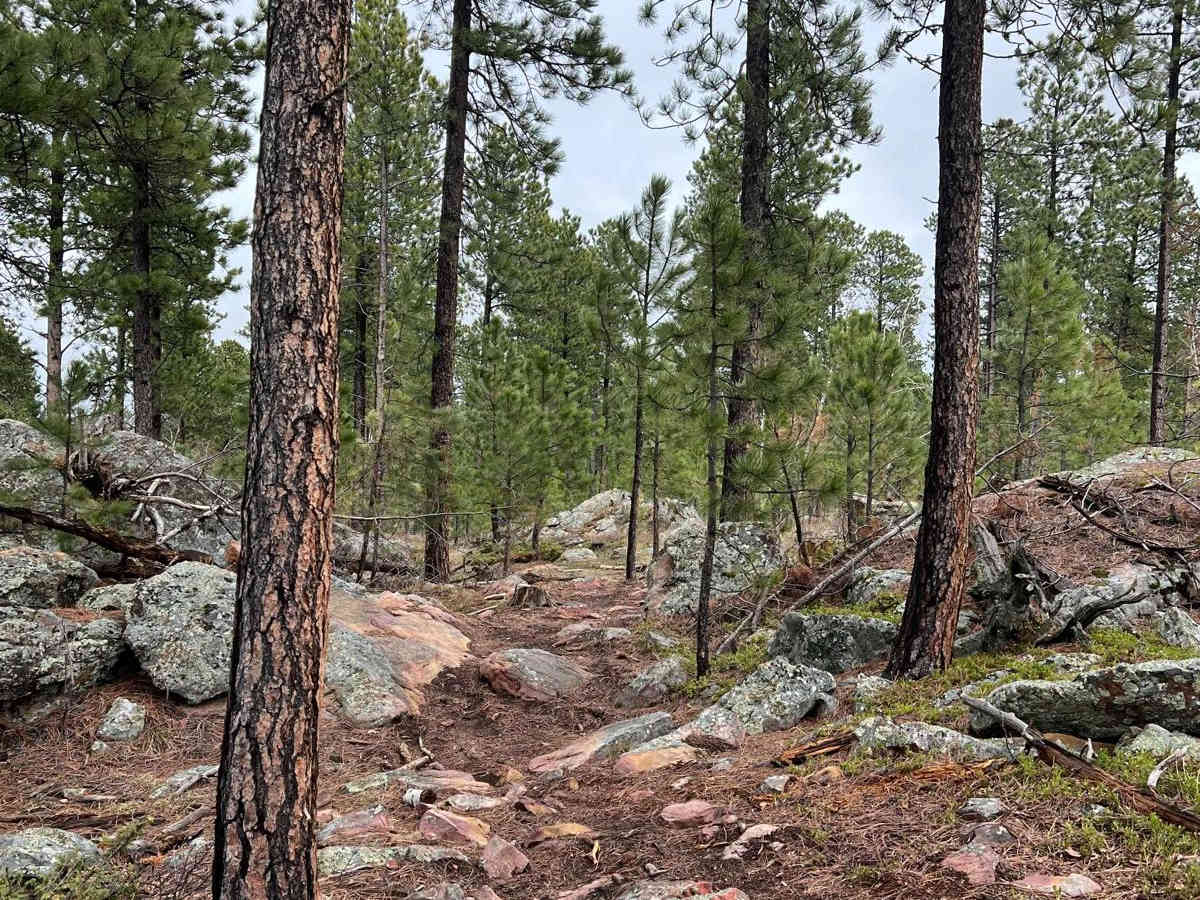 Boulder Scenic Cut Through photo 3