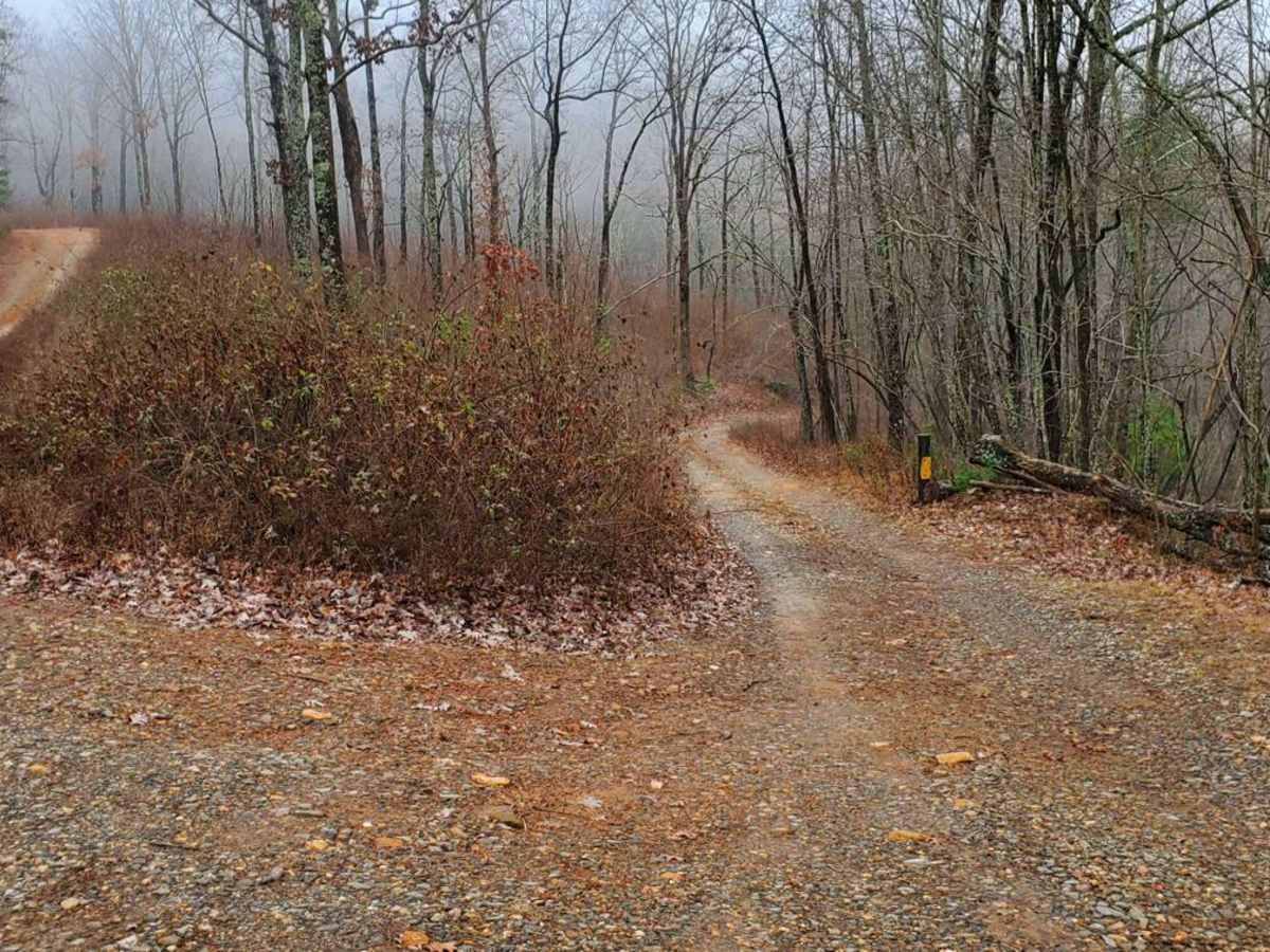 Hickorynut Gap - FSR 797 photo 5