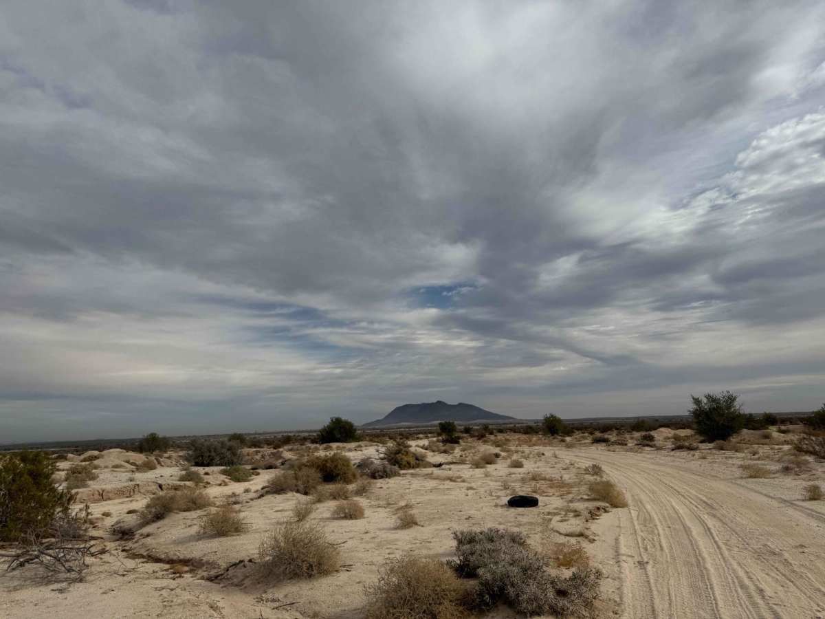 Mexicali 1 photo 2