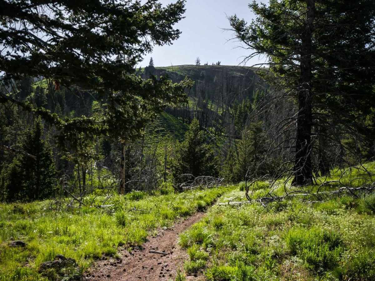 Lick Gulch photo 6