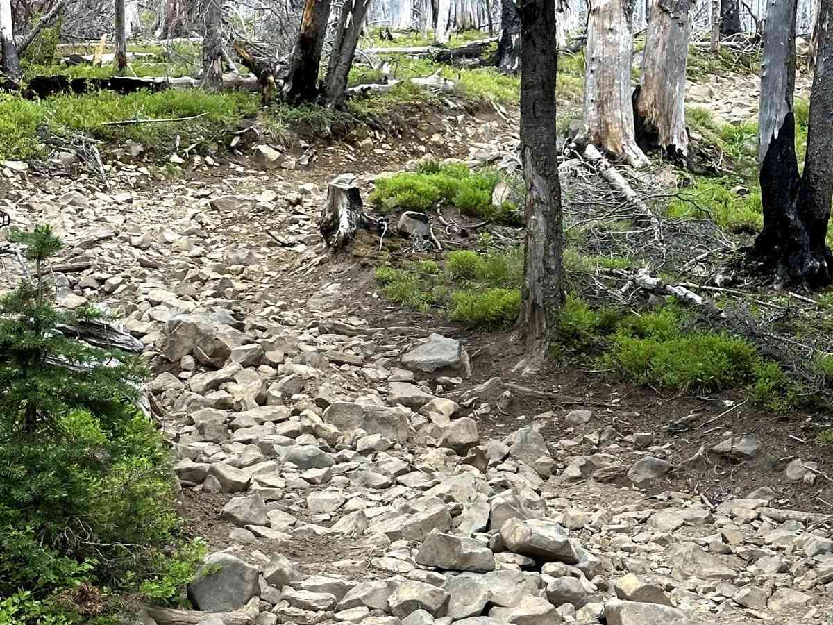 Shoestring Trail photo 5